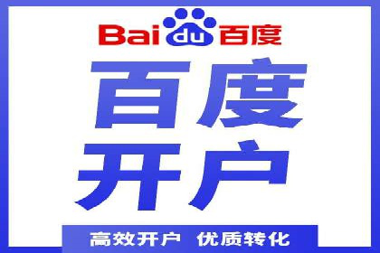 百度竞价代理操作手册：成功案例分析